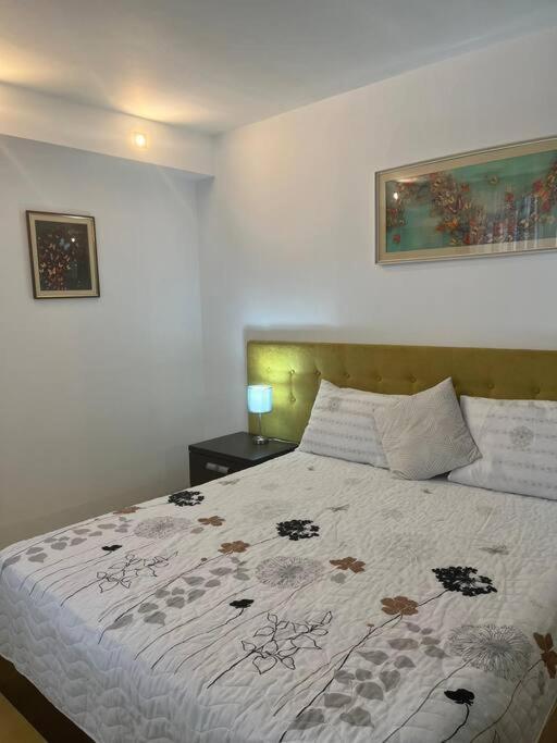 Apartament Theta- langa centru, cada hidromasaj Suceava Bagian luar foto